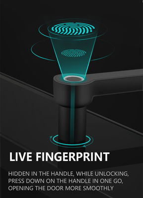 Biometric Keyless Fingerprint Door Lock Smart For Home Căn hộ Văn phòng Khách sạn