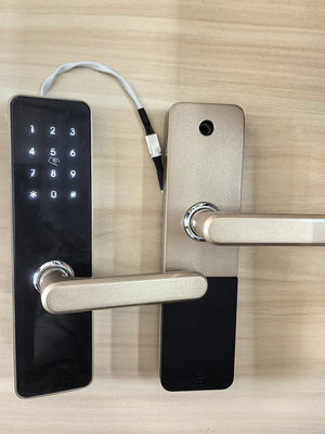 Đồng nhôm sơn kết thúc khóa cửa Bluetooth điều khiển từ xa với kết nối Bluetooth / Wi-Fi