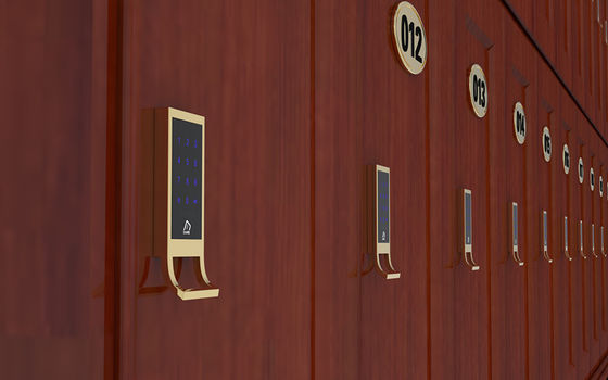 Mật khẩu RFID dây đeo cổ tay M1 Thẻ mở khóa Ứng dụng kiểm soát khóa tủ
