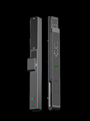 Face / Palm Vein Smart Mortise Lock 7-in-1 mở khóa IP65 BKFDS nhôm