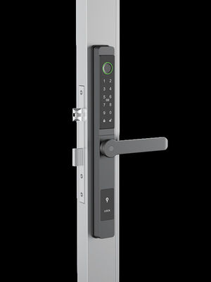 Nhận dạng khuôn mặt / Cat Eye Video / Palm Vein Smart Door Lock IP65 Alumminum