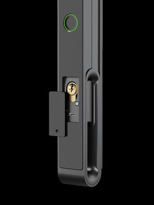 Nhận dạng khuôn mặt / Cat Eye Video / Palm Vein Smart Door Lock IP65 Alumminum