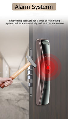 Thời gian thực chụp dấu vân tay mật khẩu khóa cửa kỹ thuật số  1 thẻ