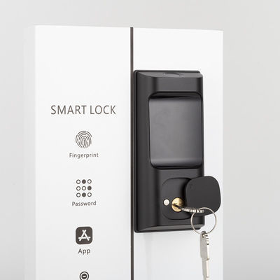 APP điều khiển từ xa cho thuê khóa cửa nhà với khóa Deadbolt thông minh