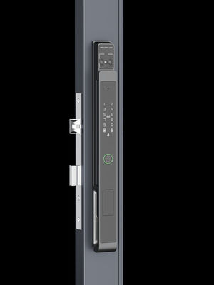 Black Smart Door Knuck Palm Vein / Nhận dạng khuôn mặt / Video Cat Eye IP65
