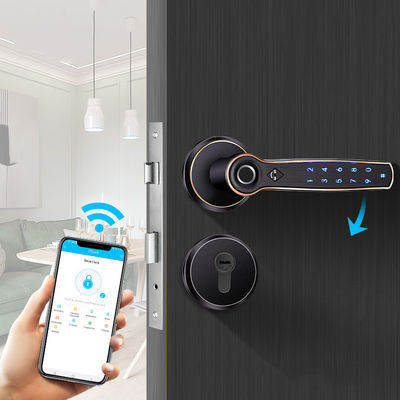 Chốt cửa hai khóa khóa cửa thông minh khóa cửa FPC dấu vân tay