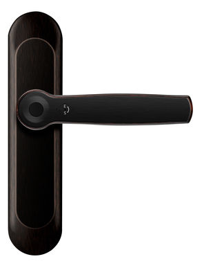 ROHS Smart Fingerprint Bluetooth Door Lock AI Voice Zinc Alloy Handle (Bộ xử lý kim loại kẽm)